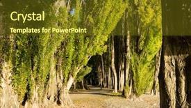  Presentation with new path - PPT theme with maori - natural landscape of new zealand background and a  colored foreground