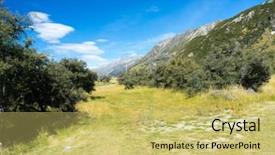  Presentation with new zealand silver fern black - Theme enhanced with maori - natural landscape of new zealand background and a  colored foreground