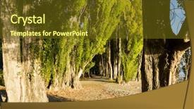  Presentation with new path - PPT theme consisting of maori - natural landscape of new zealand background and a  colored foreground