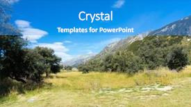  Presentation with maori new zealand native bush - Cool new theme with maori - natural landscape of new zealand backdrop and a  colored foreground