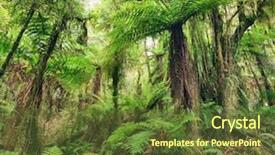  Presentation with fern - Colorful presentation theme enhanced with maori - new zealand native bush fern backdrop and a tawny brown colored foreground