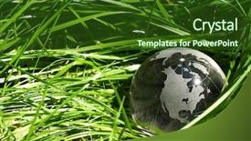  Presentation with pacific - Presentation theme enhanced with map asia pacific - globe in a grass ecology background and a forest green colored foreground