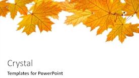  Presentation with maple leaves - Cool new PPT theme with maple-branches-with-colorful-leaves backdrop and a white colored foreground