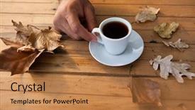  Presentation with maple leaves - Colorful PPT layouts enhanced with maple drinks - close-up of man having backdrop and a coral colored foreground