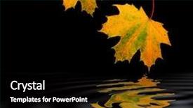  Presentation with fall abstract - Presentation featuring maple leaf abstract design in fall colors over rippled water against a black background background and a black colored foreground