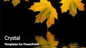  Presentation with maple leaf - Colorful presentation theme enhanced with maple leaf abstract in golden backdrop and a black colored foreground
