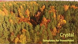  Presentation with maple leaf - Slides enhanced with maple leaf flight - aerial the autumnal forest background and a  colored foreground