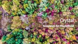  Presentation with autumn - Beautiful PPT theme featuring maple leaf flight - aerial view - colourful autumn backdrop and a tawny brown colored foreground