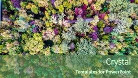  Presentation with autumn - PPT layouts with maple leaf flight - aerial view - colourful autumn background and a tawny brown colored foreground