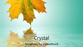  Presentation with water leaf - Colorful presentation theme enhanced with maple leaf in the colors of autumn with reflection over rippled water over turquoise background with white central glow backdrop and a mint green colored foreground