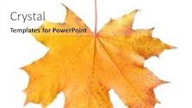  Presentation with maple leaf - 