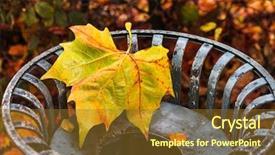  Presentation with maple leaf - Cool new PPT theme with maple leaf on garbage can backdrop and a  colored foreground