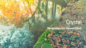  Presentation with water leaf - PPT theme featuring maple leaf on the water background and a seafoam green colored foreground