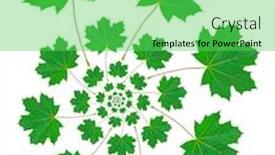  Presentation with maple leaf - Colorful slide deck enhanced with maple-leaf-pattern backdrop and a seafoam green colored foreground