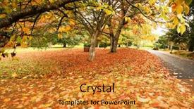  Presentation with autumn leaves - Presentation theme with maple leaf plain - autumn leaves landscape background and a  colored foreground