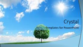  Presentation with tree sky trees green - Beautiful presentation featuring maple leaf plain - green tree on blue sky backdrop and a  colored foreground