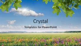  Presentation with law blue sky scales - Theme enhanced with maple leaf plain - spring field and blue sky background and a light blue colored foreground