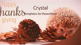  Presentation with pine cone - Presentation theme with maple leaf plain - thanksgiving greeting text against porcupine background and a lemonade colored foreground