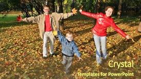  Presentation with drosophila melanogaster a fruit fly - Cool new slide deck with two pink lilies in the wild nature backdrop and a red colored foreground