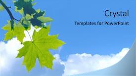  Presentation with abstract blue map - Presentation theme consisting of maple leafs in the blue background and a light blue colored foreground