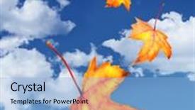  Presentation with falling leaves - Beautiful slides featuring maple leaves falling against a blue sky backdrop and a light blue colored foreground