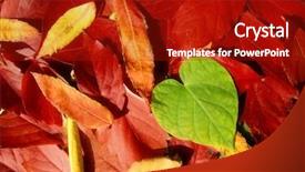  Presentation with maple leaves - Audience pleasing slides consisting of maple leaves in autumn colours backdrop and a crimson colored foreground