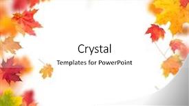  Presentation with maple leaves - Amazing presentation theme having maple leaves in round shape backdrop and a white colored foreground