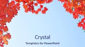  Presentation with fall abstract - Theme having maple leaves in the blue background and a sky blue colored foreground