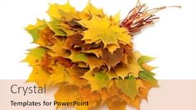  Presentation with maple leaves - Beautiful theme featuring business people competition goals success winning concept backdrop and a gray colored foreground