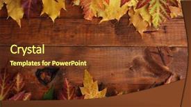  Presentation with maple leaves - PPT layouts featuring maple leaves on wooden background background and a tawny brown colored foreground
