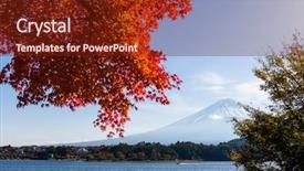  Presentation with maple - Slides enhanced with maple tree and mountain fuji background and a tawny brown colored foreground