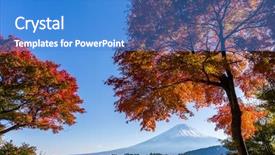  Presentation with maple tea - Audience pleasing slide deck consisting of maple tree and mt fuji backdrop and a teal colored foreground