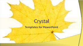  Presentation with maple leaf - Beautiful theme featuring maple yellow leaf isolated on white backdrop and a yellow colored foreground