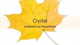  Presentation with maple leaf - Beautiful presentation design featuring maple yellow leaf isolated backdrop and a yellow colored foreground