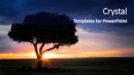  Presentation with tree silhouette - PPT theme enhanced with mara with tree silhouette sunburst background and a navy blue colored foreground