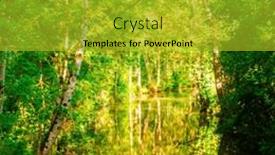  Presentation with forest marsh - Slides featuring marais-poitevin-french-marsh-forest background and a gold colored foreground