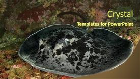  Presentation with gamma ray particle accelerator - Beautiful presentation theme featuring marbled-ray-or-blotched-fantail backdrop and a tawny brown colored foreground