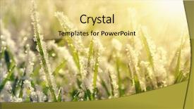  Presentation with frozen - Amazing slide deck having march - frozen grass at sunrise close backdrop and a blonde colored foreground