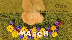  Presentation with international - Slide deck enhanced with march-8-eighth-of-march background and a gold colored foreground