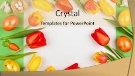  Presentation with tulips - Audience pleasing presentation theme consisting of march birthday - beautiful red and yellow tulips backdrop and a lemonade colored foreground