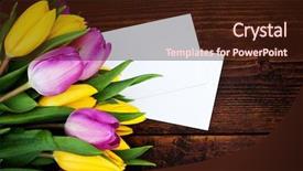  Presentation with tulips - PPT layouts featuring march birthday - bouquet of colorful tulips background and a  colored foreground