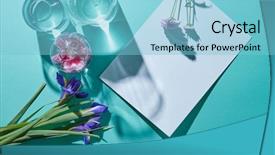  Presentation with white flowers of jasmine - Slides featuring march birthday - bouquet of flowers with vases background and a light blue colored foreground