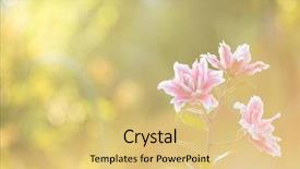  Presentation with summer flowers - Slide set featuring marching band - lily bright summer flowers background and a yellow colored foreground