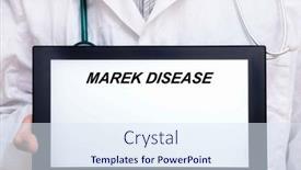  Presentation with disease - PPT theme enhanced with marek-disease-doctor-with-rare background and a sky blue colored foreground