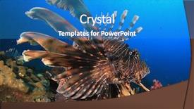  Presentation with coral - Presentation theme enhanced with marien ecosystem - lionfish fish on coral reef background and a teal colored foreground