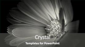  Presentation with calendula - Audience pleasing presentation consisting of modern abstract background with red and black lines backdrop and a light gray colored foreground