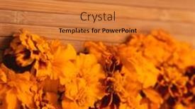  Presentation with festival diwali - Slide deck featuring marigold-yellow-flowers-on-bamboo and a coral colored foreground