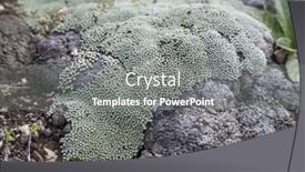  Presentation with marijuana - Theme featuring young beautiful woman in a denim dress and a black baseball cap sits on a skateboard background and a light gray colored foreground