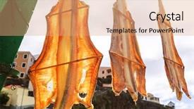  Presentation with dry fish - PPT theme enhanced with marina marketing - fish drying camara de lobos background and a coral colored foreground