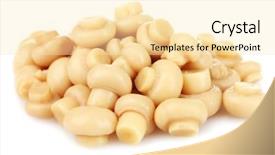  Presentation with oyster mushroom on substrate - Presentation theme consisting of marinated mushroom isolated on white background and a lemonade colored foreground